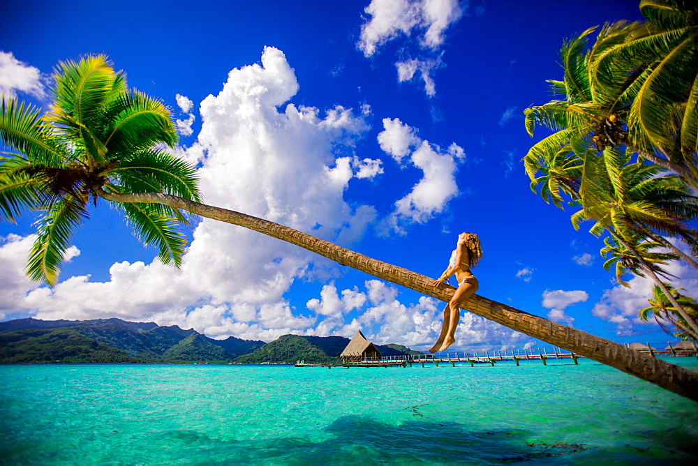 Girl sitting on palm tree in front of overwater bungalows, Le Taha'a Resort, Tahiti, French Polynesia, South Pacific, Pacific