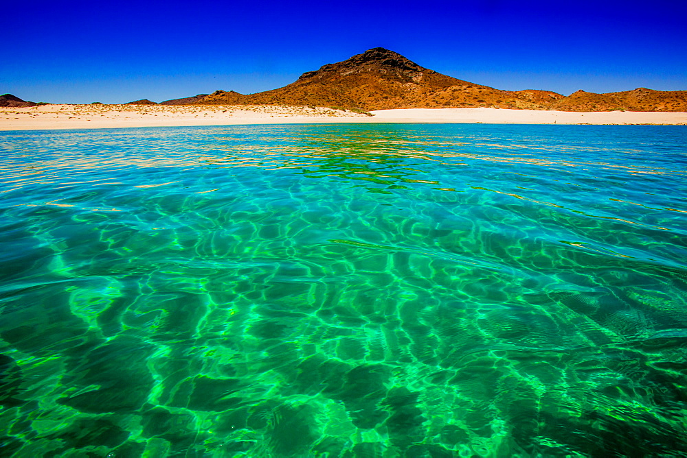 Isla del Espiritu Santo, Baja California Sur, Mexico, North America