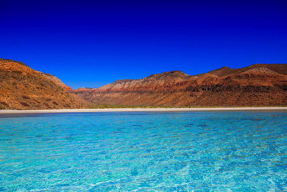 Isla del Espiritu Santo, Baja California Sur, Mexico, North America