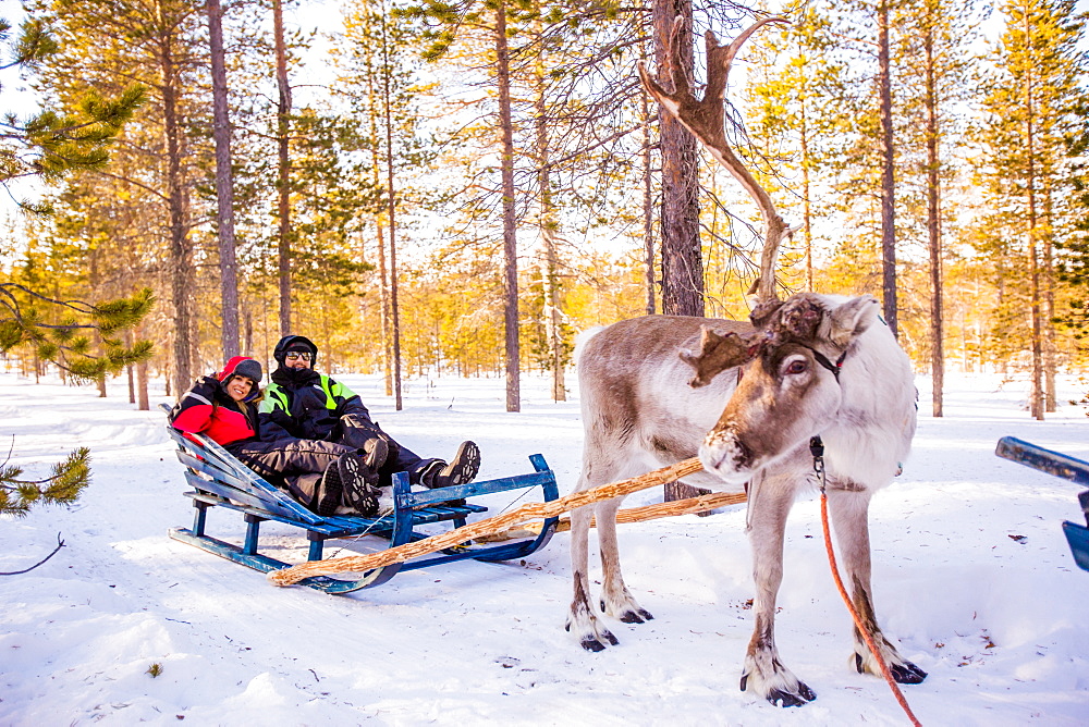 Couple on Reindeer Safari, Kakslauttanen Igloo Village, Saariselka, Finland, Scandinavia, Europe