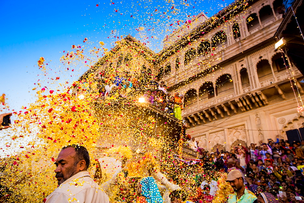 Crowd throwing flower petals during the Flower Holi Festival, Vrindavan, Uttar Pradesh, India, Asia