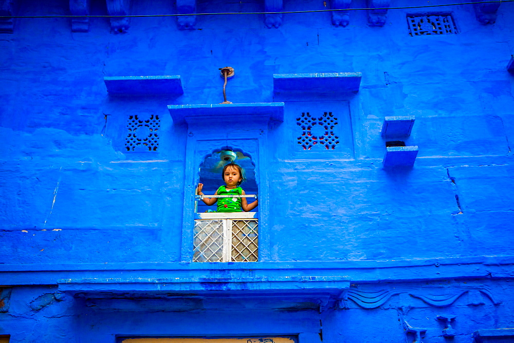 Little girl standing in her window in the blue houses of Jodhpur, the Blue City, Rajasthan, India, Asia