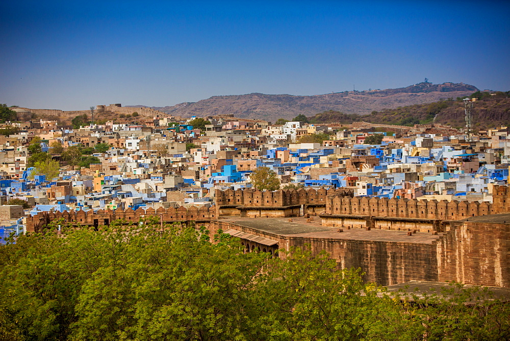 The city wall of Mehrangarh Fort towering over the blue rooftops in Jodhpur, the Blue City, Rajasthan, India, Asia