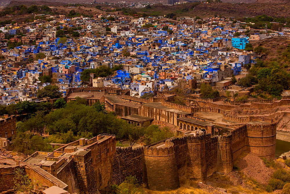 The palace walls of Mehrangarh Fort towering over the blue rooftops in Jodhpur, the Blue City, Rajasthan, India, Asia