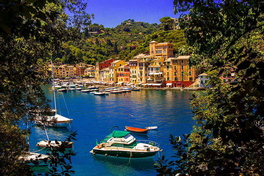 The Italian fishing village of Portofino, Liguria, Italy, Europe