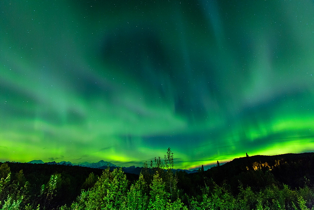 Aura Borealis (Northern lights) in Denali Wilderness National Park, Alaska, United States of America, North America