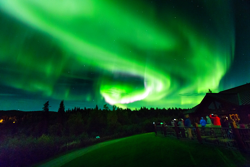 Aura Borealis (Northern lights) in Denali Wilderness National Park, Alaska, United States of America, North America