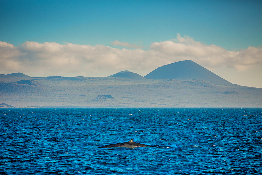 Sailing the Galapagos Islands, Ecuador, South America