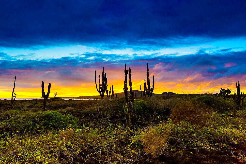 Sunset on Isabella Island, Galapagos Islands, Ecuador, South America