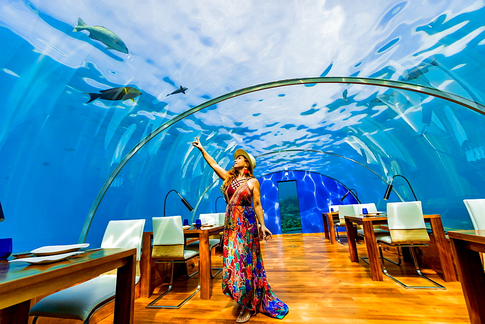 Views from Ithaa, the undersea restaurant at Conrad Maldives, Maldives, Indian Ocean, Asia