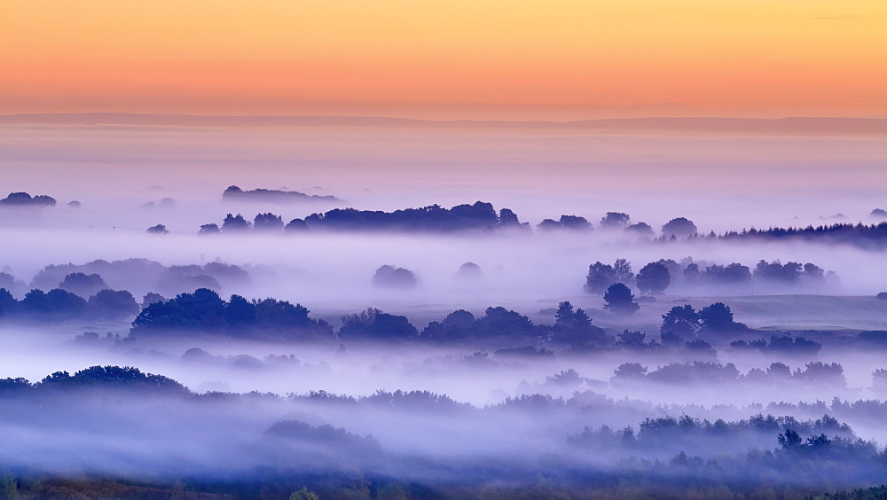 Layers of mist surround the trees of Delamere Forest on a cold autumn dawn in Cheshire, England, United Kingdom, Europe