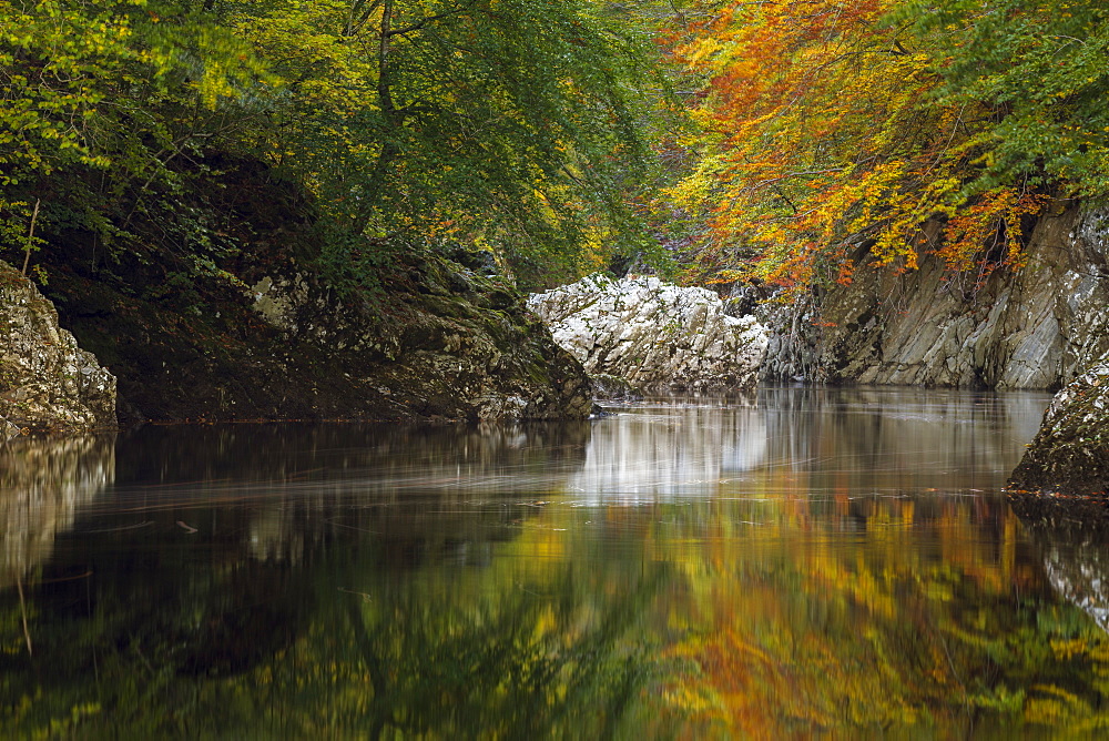 Autumn colour reflected in the River Garry, Perthshire, Scottish Highlands, Scotland, United Kingdom, Europe