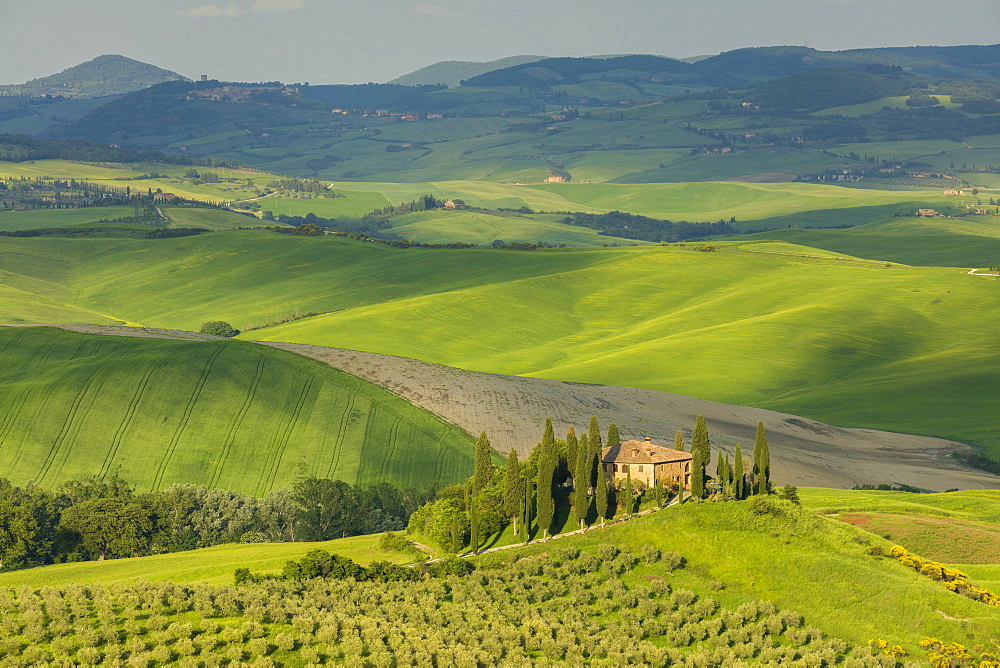 A Tuscan villa perched on a hill in the early evening light of the Val d'Orcia, UNESCO World Heritage Site, Tuscany, Italy, Europe