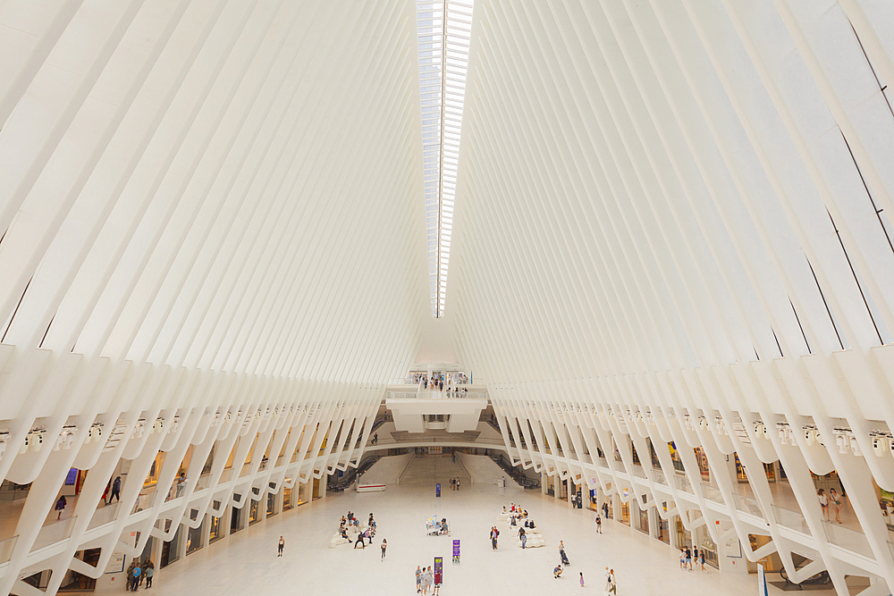 The interior roof and passenger concourse of the Oculus transportation hub at the World Trade Center in Lower Manhattan, New York City, United States of America, North America