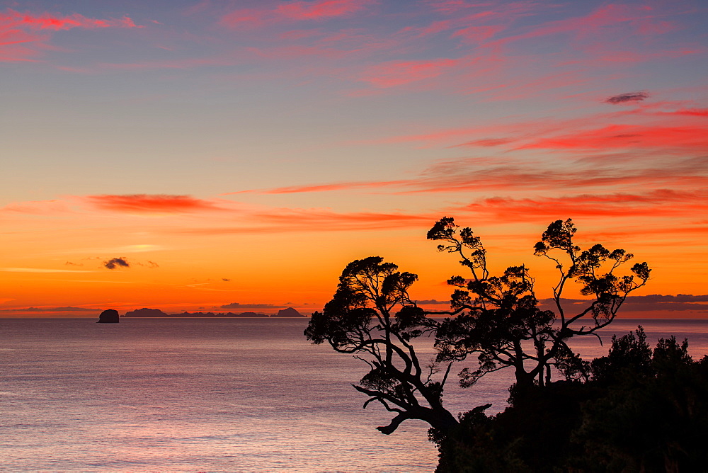 A dawn sky above the Alderman Islands in the South Pacific from New Zealand's Coromandel Peninsula, Waikato, North Island, New Zealand, Pacific