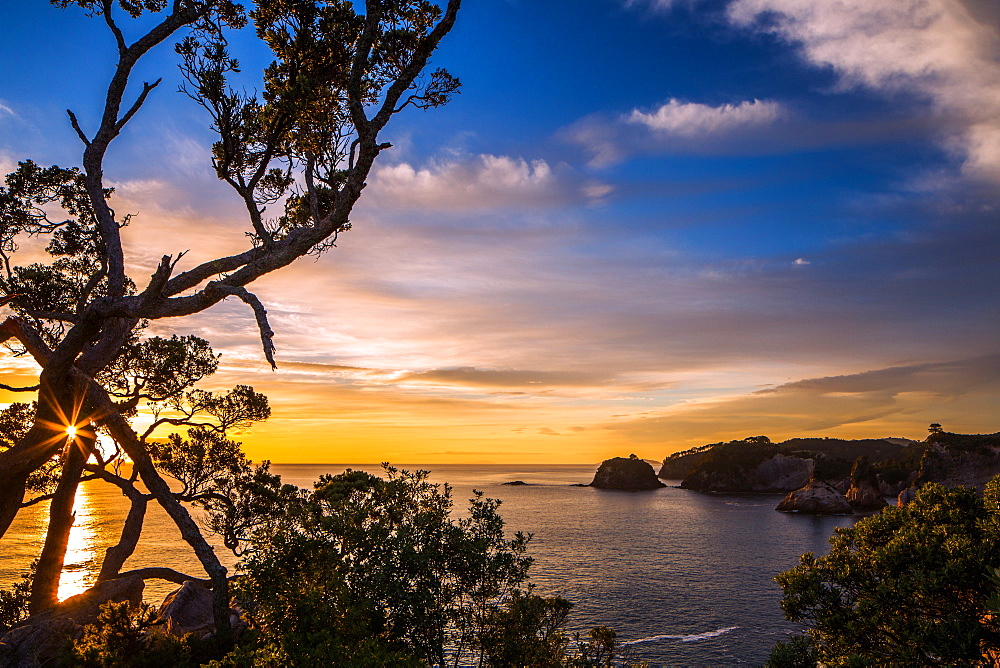 Sunrise along the rugged, lush Coromandel Peninsula on the eastern side of North Island, Waikato, New Zealand, Pacific