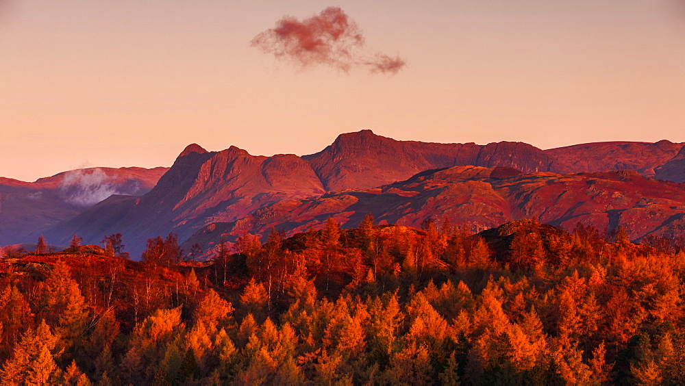 The Langdale Pikes lit in the golden glow of dawn light on an autumn morning in the Lake District National Park, Cumbria, England, United Kingdom, Europe