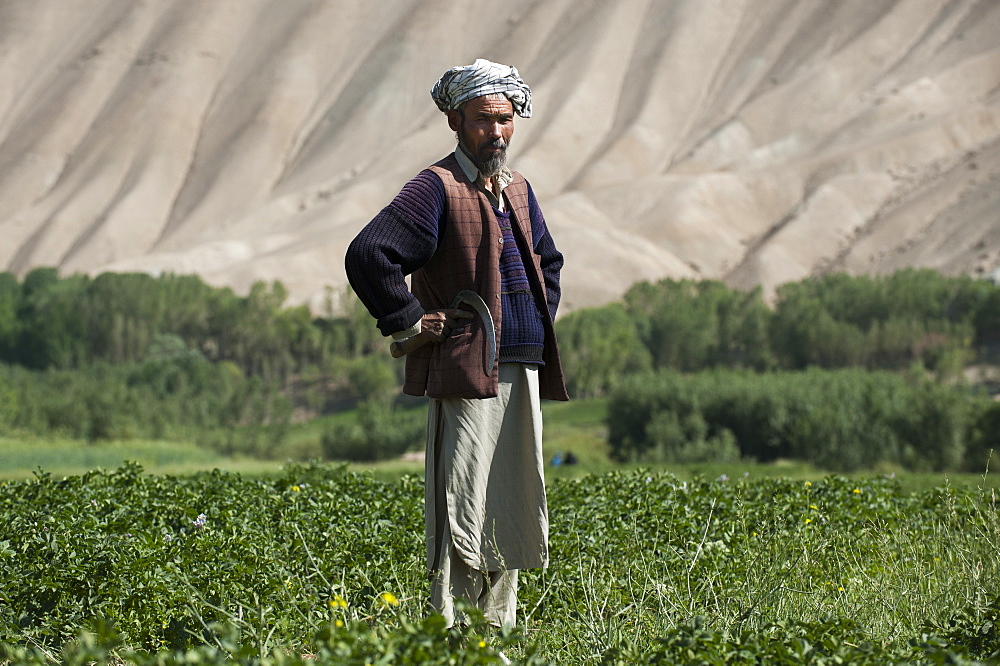 The barren hills of the Bamiyan valley in central Afghanistan appear to promise little, but snowmelt irrigates the fields, Bamiyan Province, Afghanistan, Asia