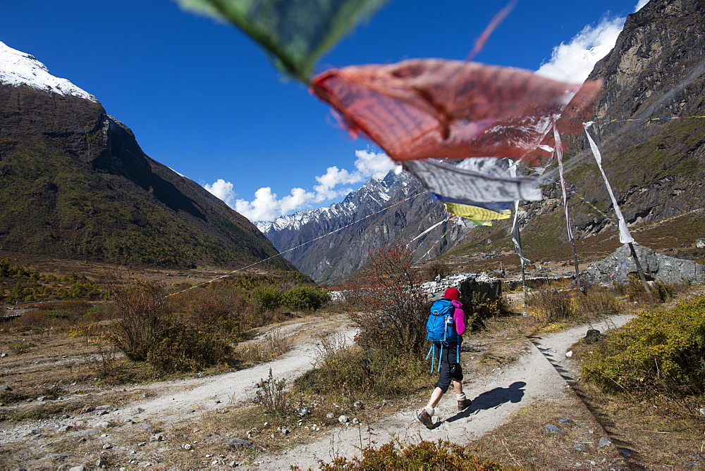 In the Langtang valley a woman treks under a string of prayer flags path between Langtang village and Kyanjin Gompa, Langtang Region, Himalayas, Nepal, Asia