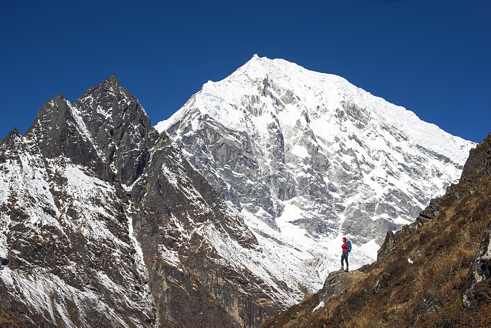 A woman trekking up Kyanjin Ri in the Langtang Valley with a view of Langtang Lirung in the distance, Langtang Region, Himalayas, Nepal, Asia