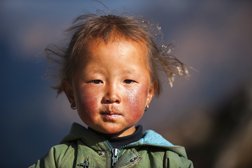 A little girl with a weathered face from the village of Khumjung in the Everest region, Nepal, Asia