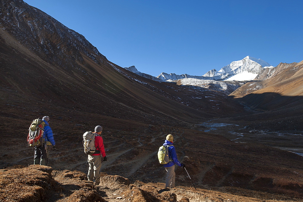 Trekking towards the Kagmara La pass, in the Kagmara valley in the remote Dolpa region, Himalayas, Nepal, Asia