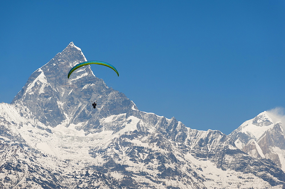 A paraglider hangs in the air with the dramatic peak of Machapuchare (Fishtail mountain) in the distance, Himalayas, Nepal, Asia