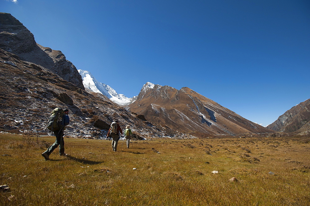 Trekking in the Kagmara valley in the remote Dolpa region, Himalayas, Nepal, Asia