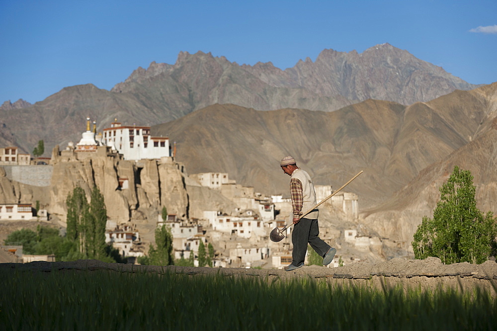 A man walks back from water channelling, with the 1000-year-old Lamayuru Monastery in the background, Ladakh, India, Asia