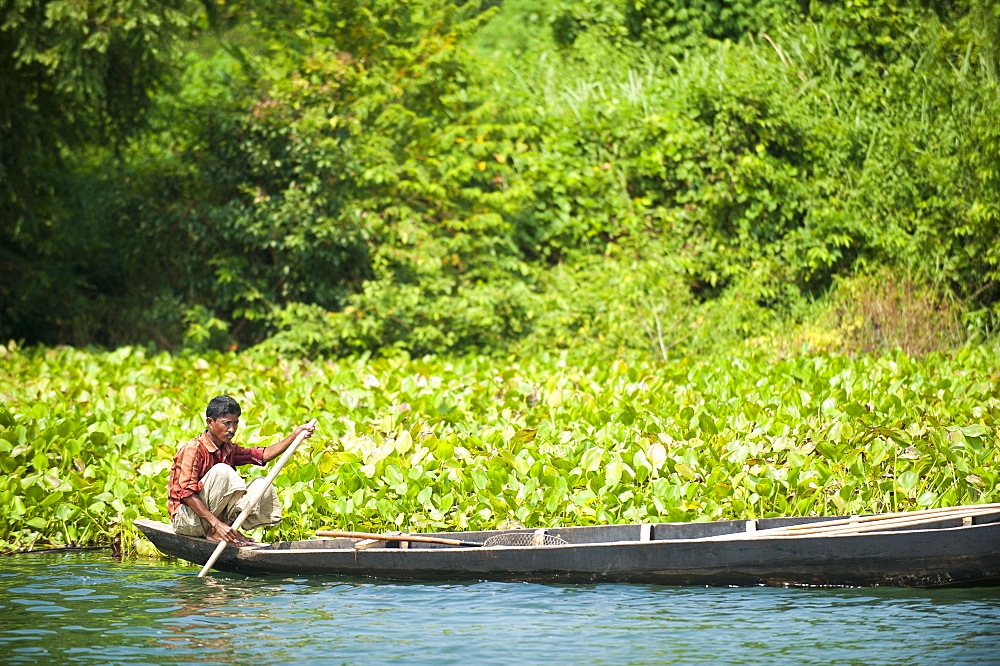 A fisherman on Kaptai Lake, Chittagong Hill Tracts, Bangladesh, Asia