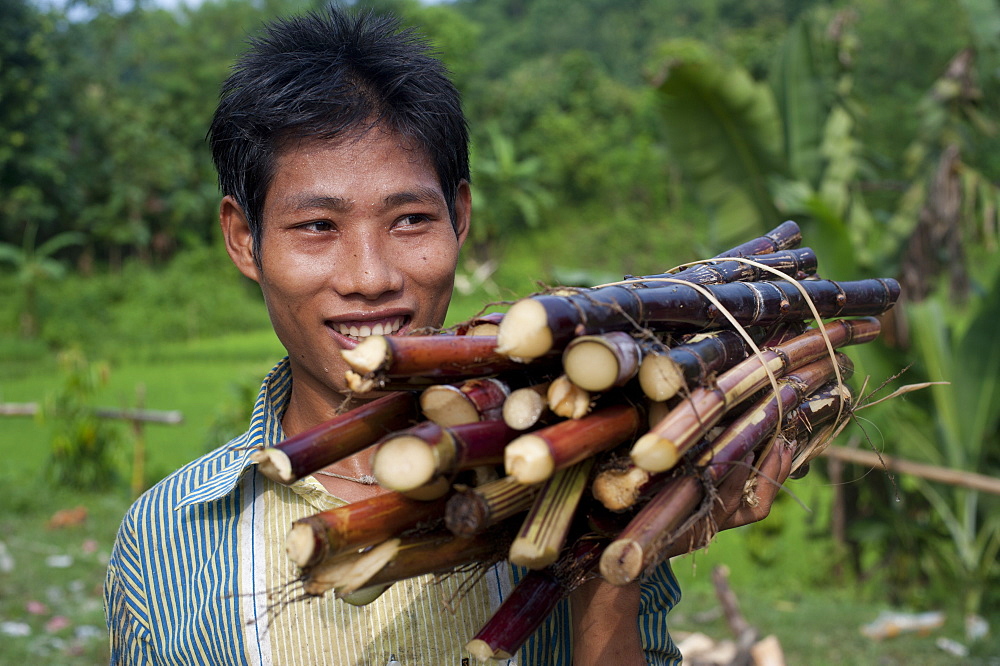 A man from the Chittangong Hill Tracts in Bangladesh carries freshly cut sugarcane, Bangladesh, Asia