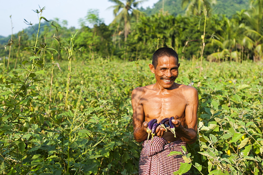 A man holds up freshly picked aubergines, Chittagong Hill Tracts, Bangladesh, Asia