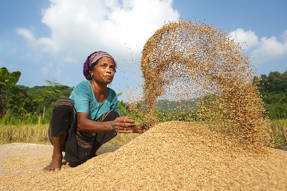 A woman throws rice up into the air with her hands while someone else fans air through, Chittagong Hill Tracts, Bangladesh, Asia