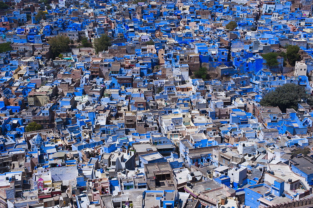 The Blue City of Jodhpur seen from the Mehrangarh Fort, Jodhpur, Rajasthan, India, Asia