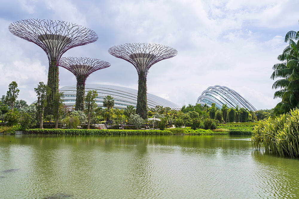 Supertree Grove in the Gardens by the Bay, a futuristic botanical gardens and park, Marina Bay, Singapore, Southeast Asia, Asia