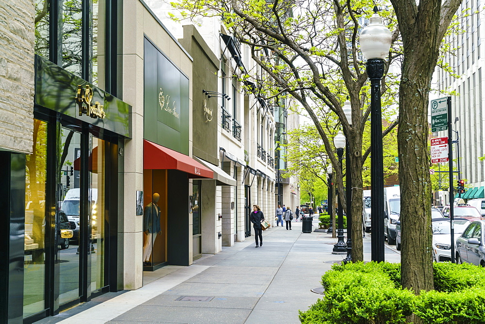 Upscale shopping street, Chicago, Illinois, United States of America, North America