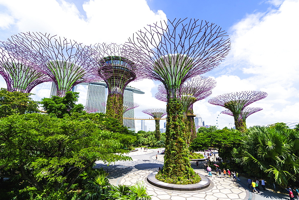 Supertree Grove in the Gardens by the Bay, a futuristic botanical gardens and park, Marina Bay, Singapore, Southeast Asia, Asia