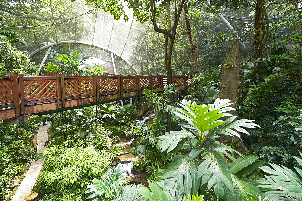 Hong Kong Park Aviary in Central, Hong Kong Island, Hong Kong, China, Asia