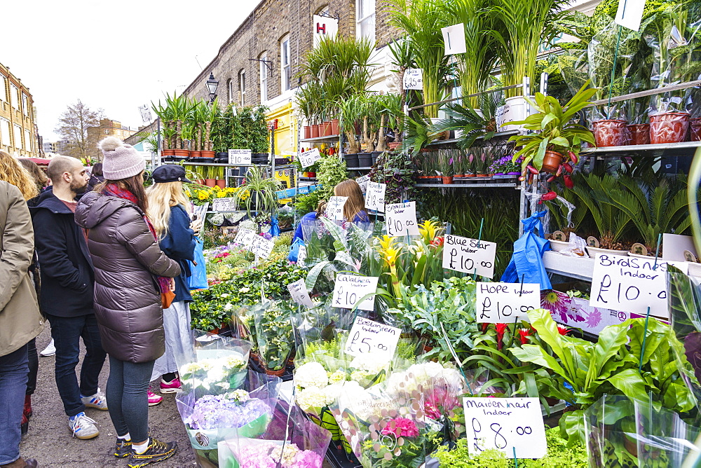 Columbia Road Flower Market, a very popular Sunday market between Hoxton and Bethnal Green in East London, London, England, United Kingdom, Europe