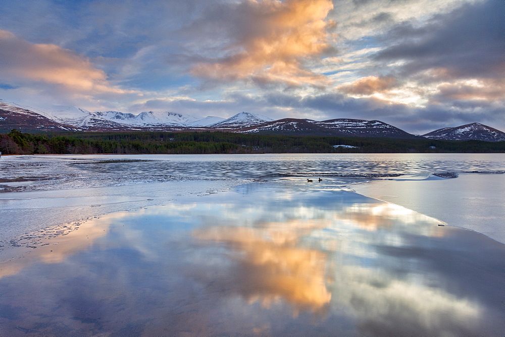 Dawn breaking over Loch Morlich, Glenmore, Scotland, United Kingdom, Europe