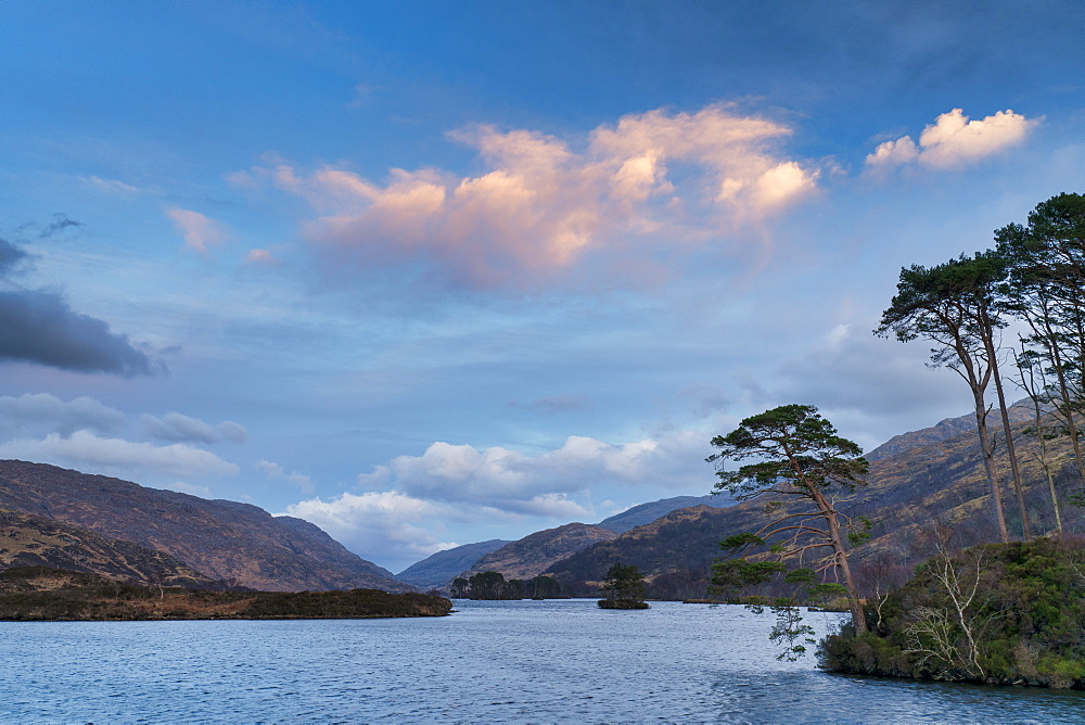 Sunset over Scots pines island, Arienskill, Loch Eilt, near Arisaig, Highland Region, Scotland, United Kingdom, Europe