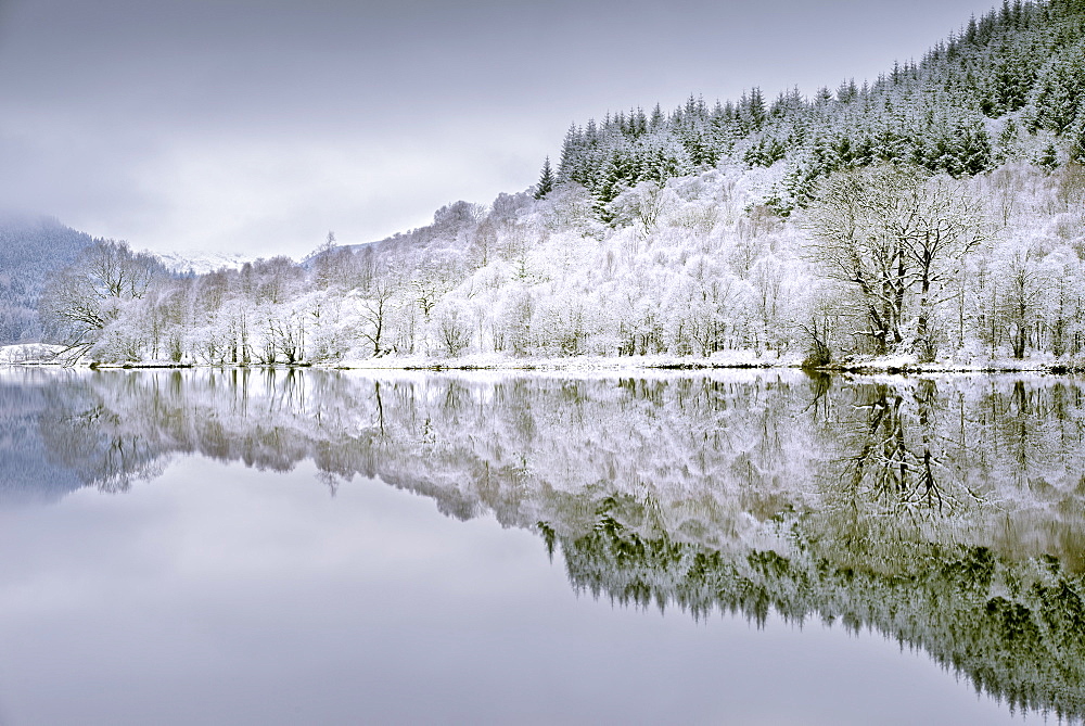 Reflections on Loch Chon in winter, Aberfoyle, Stirling, The Trossachs, Scotland, United Kingdom, Europe