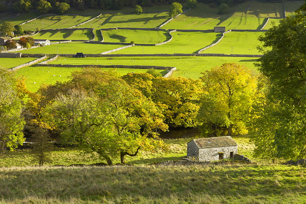 Kettlewell village field sysyem, out barns and dry stone walls, in Wharfedale, The Yorkshire Dales, Yorkshire, England, United Kingdom, Europe