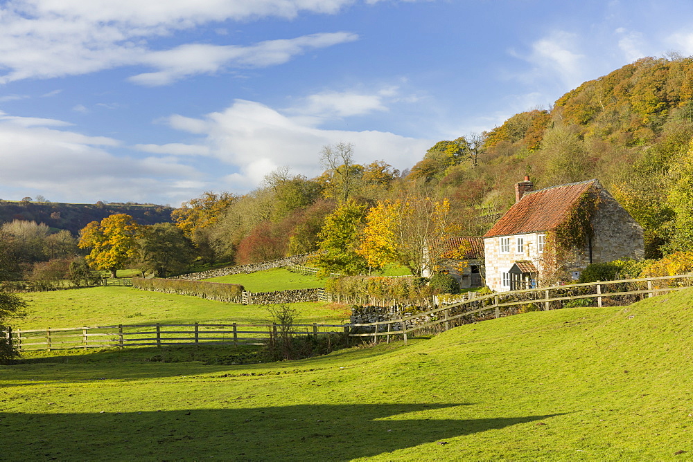 Autumn at Rievaulx Abbey village near Helmsley in North Yorkshire, Yorkshire, England, United Kingdom, Europe