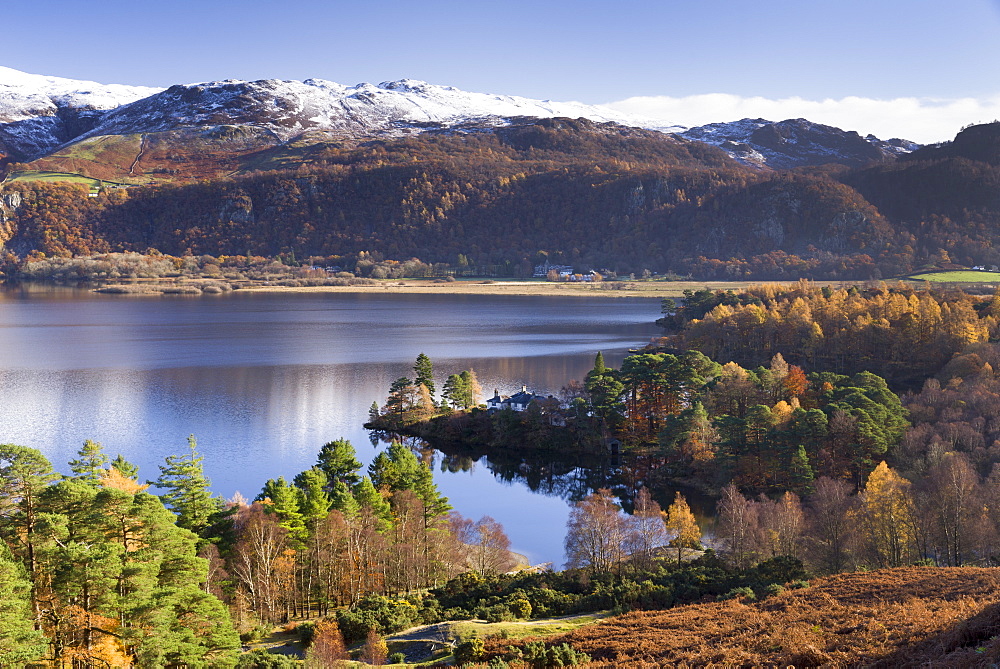 Woodland around Brandlehow, Derwent Water, Cumbria, England, United Kingdom, Europe