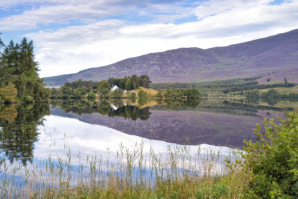 Loch Alvie, Strathspey and Badenoch, Cairngorms, Highland, Scotland, United Kingdom, Europe