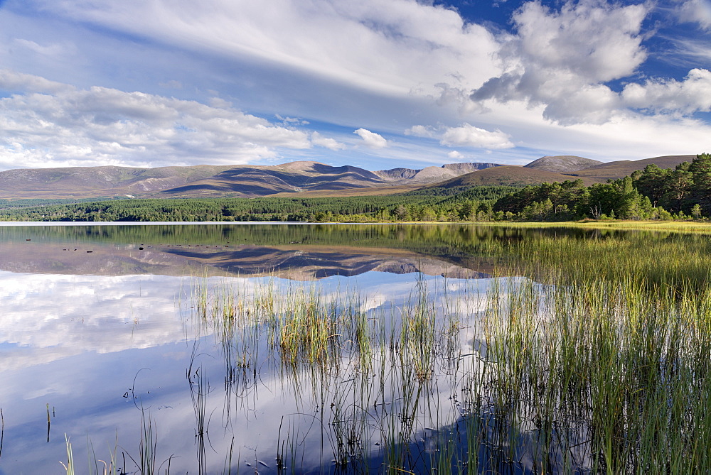 Loch Morlich, Glenmore, Badenoch and Strathspey, Scotland, United Kingdom, Europe