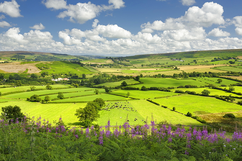 Castleton village, The North Yorkshire Moors National Park, Yorkshire, England, United Kingdom, Europe