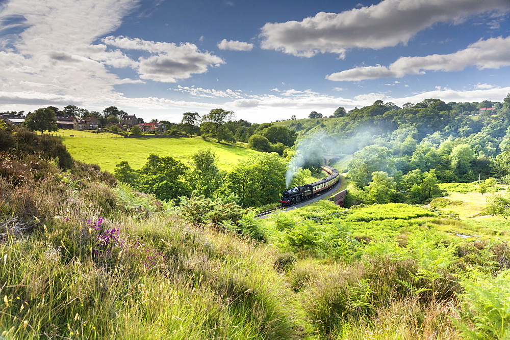 A steam locomotive at Darnholme on the North Yorkshire Railway line travelling from Whitby to Pickering, Yorkshire, England, United Kingdom, Europe