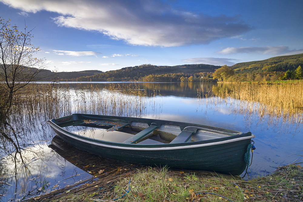 Kinlochard, Loch Ard, Aberfoyle, The Trossachs, Scotland, United Kingdom, Europe